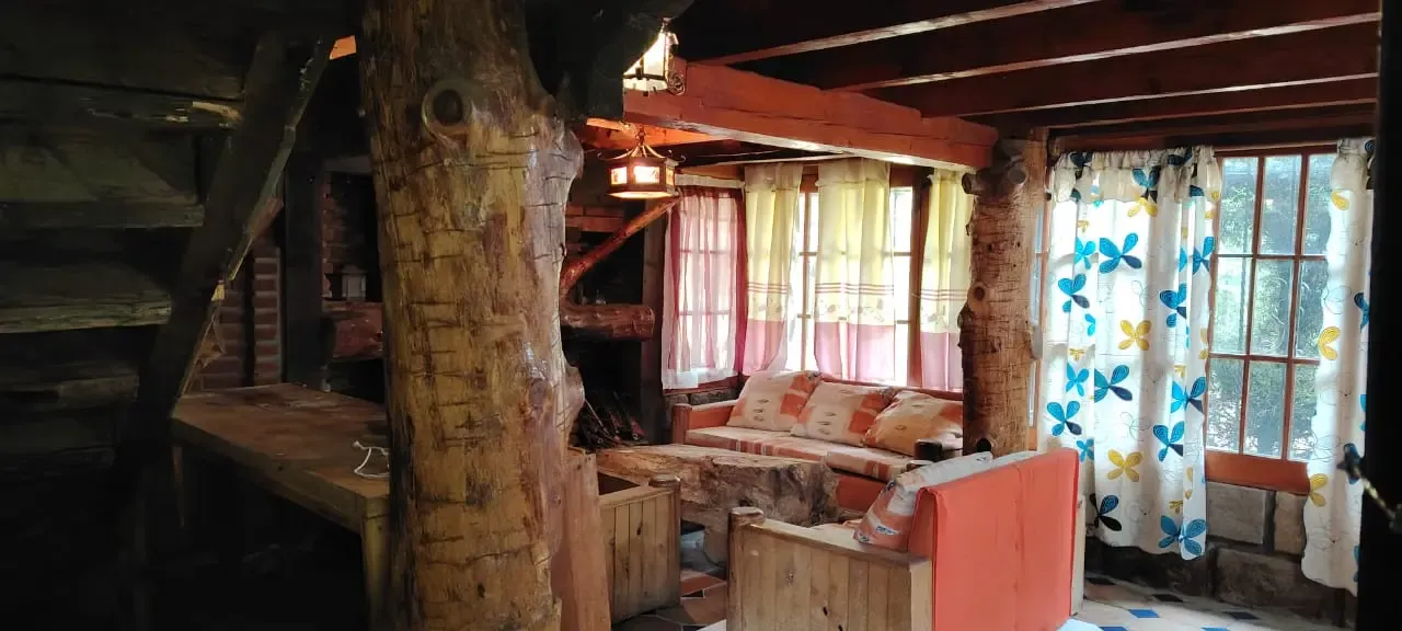 Sala con el tronco del árbol