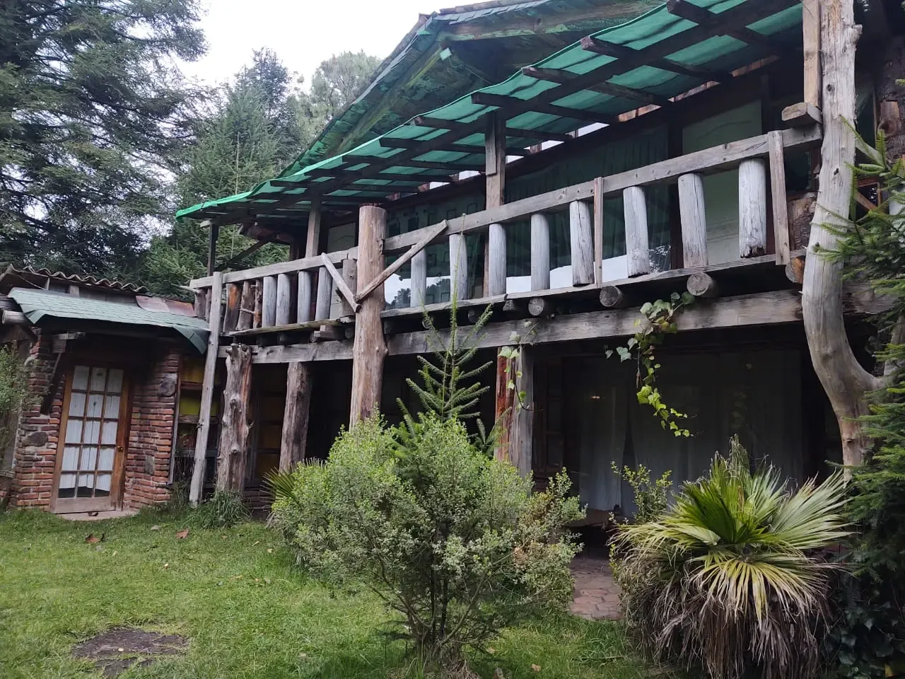 Terraza de madera